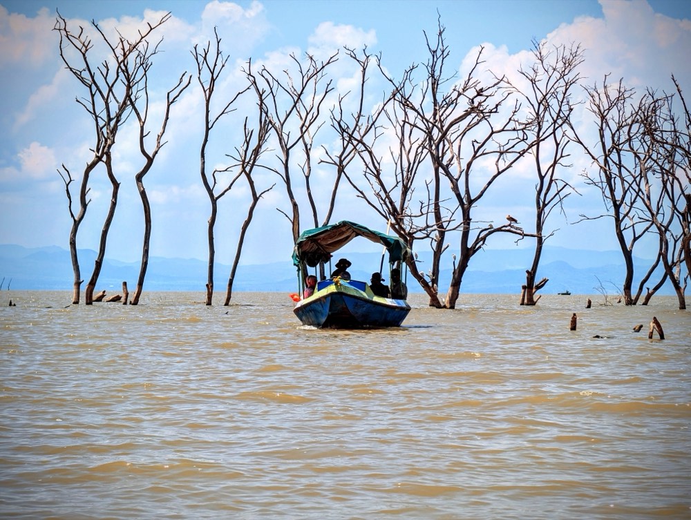 Lake Chamo